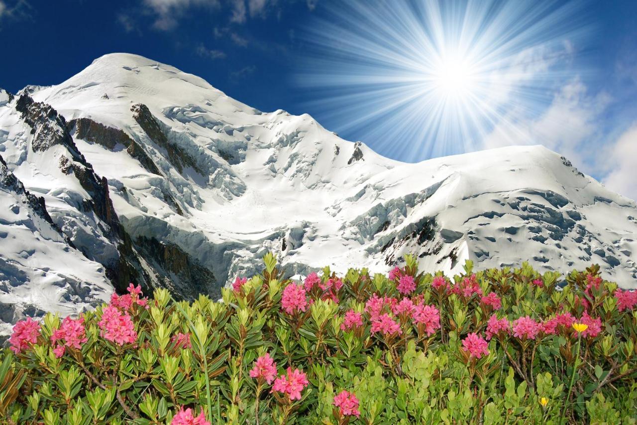 Appartement Beauregard 3 - Happy Rentals Les Houches Esterno foto